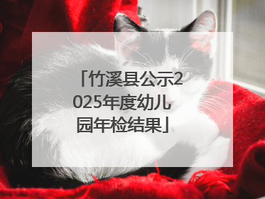 竹溪县公示2025年度幼儿园年检结果
