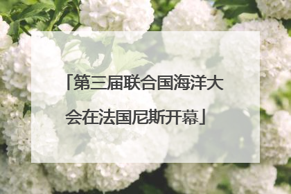 第三届联合国海洋大会在法国尼斯开幕