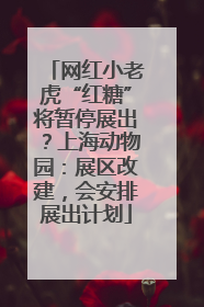 网红小老虎“红糖”将暂停展出？上海动物园：展区改建，会安排展出计划