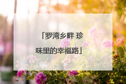 罗湾乡畔 珍味里的幸福路