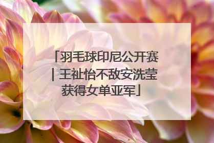 羽毛球印尼公开赛｜王祉怡不敌安洗莹 获得女单亚军