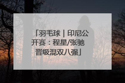 羽毛球｜印尼公开赛：程星/张驰晋级混双八强