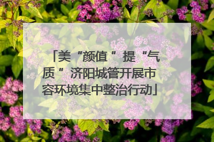 美“颜值 ”提“气质 ”济阳城管开展市容环境集中整治行动