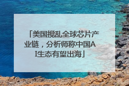 美国搅乱全球芯片产业链，分析师称中国AI生态有望出海