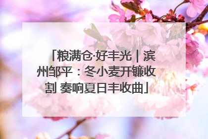 粮满仓·好丰光｜滨州邹平：冬小麦开镰收割 奏响夏日丰收曲