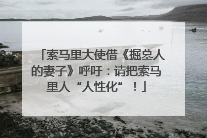 索马里大使借《掘墓人的妻子》呼吁：请把索马里人“人性化”！
