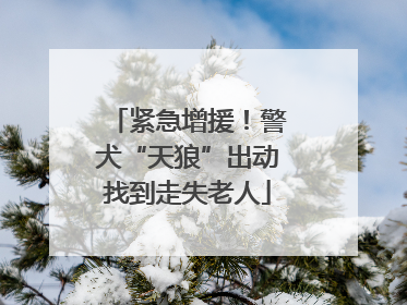 紧急增援！警犬“天狼”出动找到走失老人