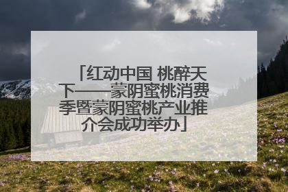 红动中国 桃醉天下——蒙阴蜜桃消费季暨蒙阴蜜桃产业推介会成功举办