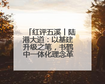 红评五溪丨陆港大道：以基建升级之笔，书鹤中一体化理念革新之章