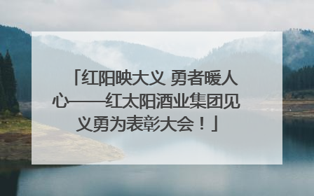 红阳映大义 勇者暖人心——红太阳酒业集团见义勇为表彰大会！