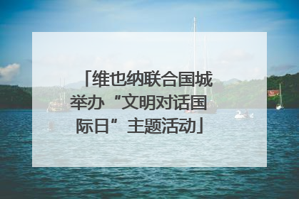 维也纳联合国城举办“文明对话国际日”主题活动