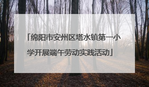 绵阳市安州区塔水镇第一小学开展端午劳动实践活动