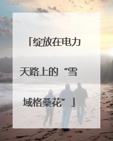 绽放在电力天路上的“雪域格桑花”