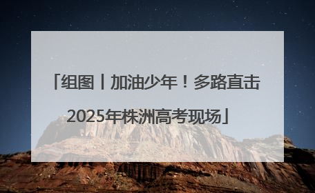 组图丨加油少年！多路直击2025年株洲高考现场