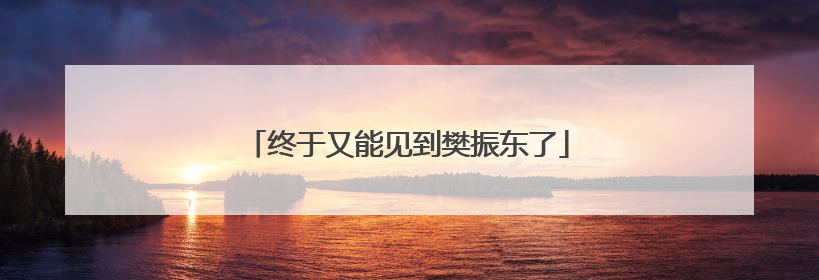 终于又能见到樊振东了