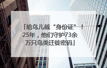 给鸟儿戴“身份证”！25年，他们守护73余万只鸟类迁徙密码
