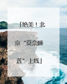 绝美！北京“莫奈睡莲”上线