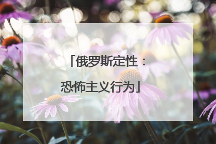 俄罗斯定性：恐怖主义行为
