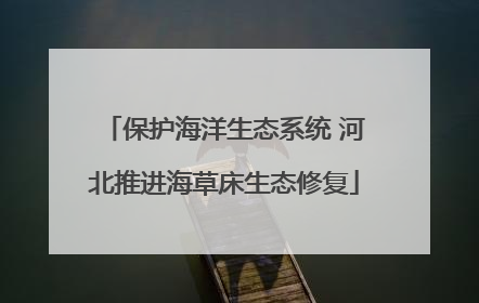 保护海洋生态系统 河北推进海草床生态修复
