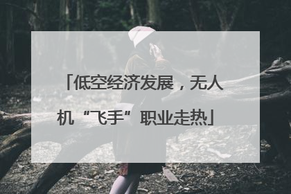 低空经济发展，无人机“飞手”职业走热