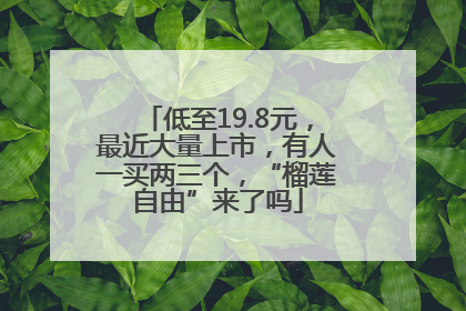 低至19.8元，最近大量上市，有人一买两三个，“榴莲自由”来了吗