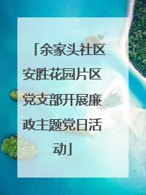 余家头社区安胜花园片区党支部开展廉政主题党日活动