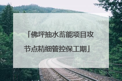 佛坪抽水蓄能项目攻节点精细管控保工期