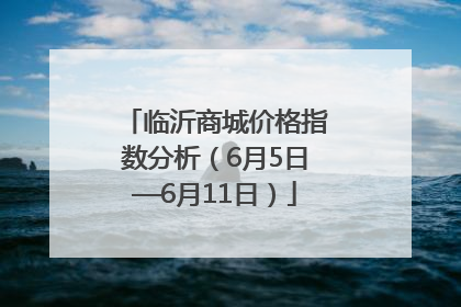 临沂商城价格指数分析（6月5日—6月11日）