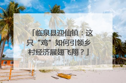 临泉县迎仙镇：这只“鸡”如何引领乡村经济展翅飞翔？
