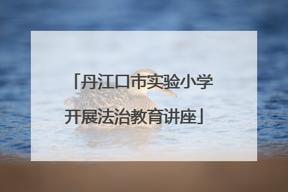 丹江口市实验小学开展法治教育讲座