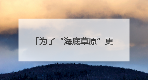 为了“海底草原”更繁茂（美丽中国）