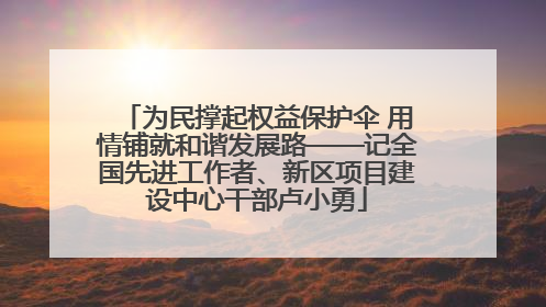 为民撑起权益保护伞 用情铺就和谐发展路——记全国先进工作者、新区项目建设中心干部卢小勇
