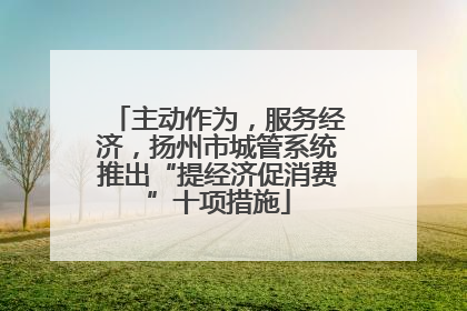 主动作为，服务经济，扬州市城管系统推出“提经济促消费”十项措施
