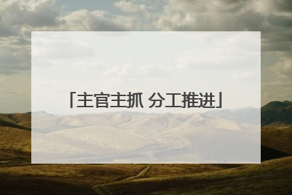 主官主抓 分工推进