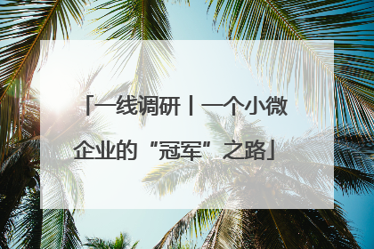 一线调研丨一个小微企业的“冠军”之路