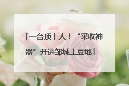 一台顶十人！“采收神器”开进邹城土豆地