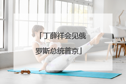 丁薛祥会见俄罗斯总统普京