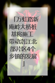 万虹路新庵岭大桥桩基将施工 带动洛江北部片区4个乡镇的发展