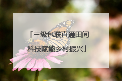 三级包联直通田间 科技赋能乡村振兴