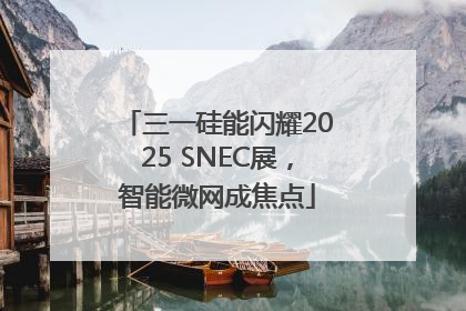 三一硅能闪耀2025 SNEC展，智能微网成焦点