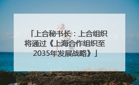 上合秘书长：上合组织将通过《上海合作组织至2035年发展战略》