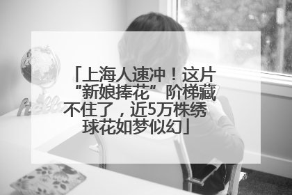 上海人速冲！这片“新娘捧花”阶梯藏不住了，近5万株绣球花如梦似幻
