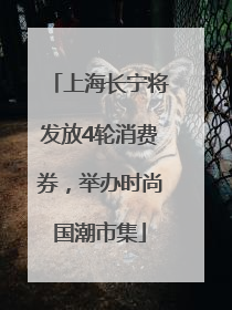 上海长宁将发放4轮消费券，举办时尚国潮市集