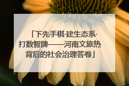 下先手棋·建生态系·打数智牌——河南文旅热背后的社会治理答卷