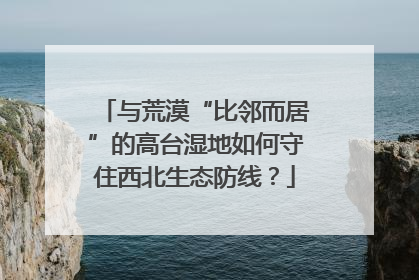 与荒漠“比邻而居”的高台湿地如何守住西北生态防线？