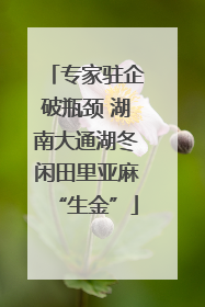 专家驻企破瓶颈 湖南大通湖冬闲田里亚麻“生金”