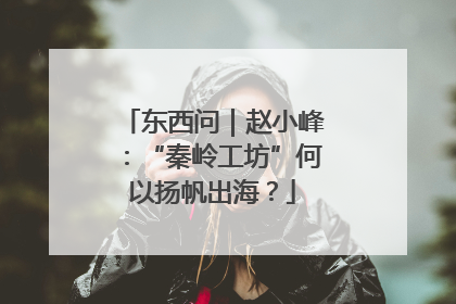 东西问｜赵小峰：“秦岭工坊”何以扬帆出海？