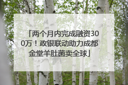 两个月内完成融资300万！政银联动助力成都金堂羊肚菌卖全球