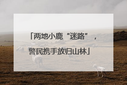 两地小鹿“迷路”，警民携手放归山林
