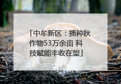 中牟新区：播种秋作物53万余亩 科技赋能丰收在望